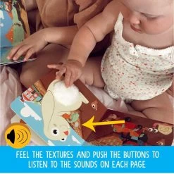 Ditty Bird Cute Animals Board Book -Kids Toy Shop ditty bird ditty bird cute animals board book 32573093576838