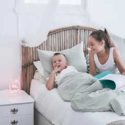 Duski Dream Light LED Night Light - Dinosaur - PLUG IN -Kids Toy Shop duski duski dream light led night light dinosaur plug in 31049093251206