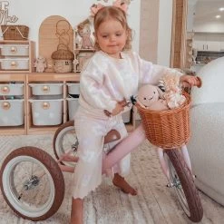 2 In 1 Steel Trike/Balance Bike (incl. Wicker Basket) -Kids Toy Shop hipkids 2 in 1 steel trike balance bike incl wicker basket 32493983924358