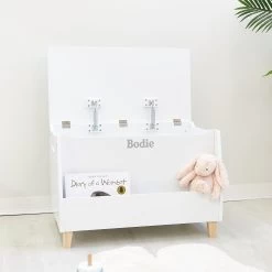 Bodie Toy Storage Box -Kids Toy Shop hipkids bodie toy storage box 32886482993286