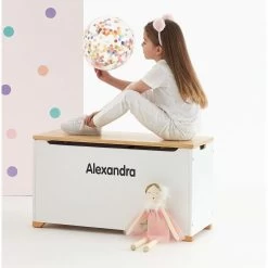 Custom Name Sticker (Vinyl) -Kids Toy Shop hipkids custom name sticker vinyl 17456331456646