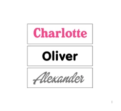 Personalisation Sticker - Steel Trike