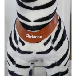 Ride On Walking Toy Zebra 21 Ride On Walking Toy Zebra -Kids Toy Shop hipkids ride on walking toy zebra small 3096107679791