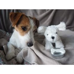 JaBaDaBaDo Dog In Bag -Kids Toy Shop jabadabado jabadabado dog in bag 28761224544390