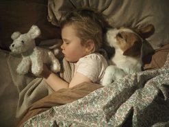 JaBaDaBaDo Dog In Bag -Kids Toy Shop jabadabado jabadabado dog in bag 31019808129158