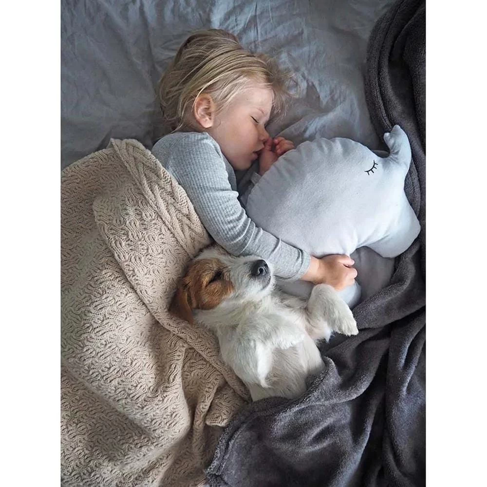 JaBaDaBaDo Elephant Pillow 4 JaBaDaBaDo Elephant Pillow - Image 2