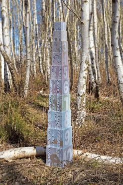 JaBaDaBaDo Stacking Cubes Forest 1-10 -Kids Toy Shop jabadabado jabadabado stacking cubes forest 1 10 31615209439366