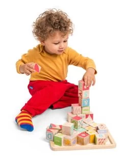 Le Toy Van Petilou ABC Wooden Blocks -Kids Toy Shop le toy van petilou abc wooden blocks 29975513727110