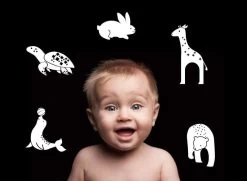 Mieredu Cognitive Flash Cards - Black And White -Kids Toy Shop mieredu mieredu cognitive flash cards black and white 17982975737990