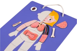 Mieredu Magnetic Kit - My Body + Emotion -Kids Toy Shop mieredu mieredu magnetic kit my body emotion 17087789105286