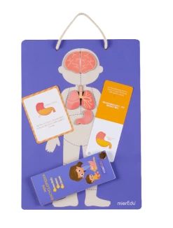 Mieredu Magnetic Kit - My Body + Emotion -Kids Toy Shop mieredu mieredu magnetic kit my body emotion 17087789760646