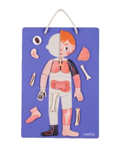 Mieredu Magnetic Kit - My Body + Emotion -Kids Toy Shop mieredu mieredu magnetic kit my body emotion 17087802278022
