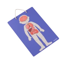 Mieredu Magnetic Kit - My Body + Emotion -Kids Toy Shop mieredu mieredu magnetic kit my body emotion 17087802671238