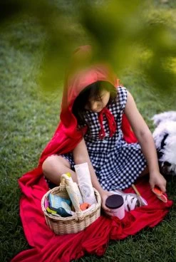 Tender Leaf Toys Wicker Shopping Basket Set -Kids Toy Shop tender leaf toys tender leaf toys wicker shopping basket set 30247622312070