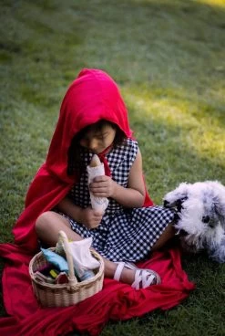 Tender Leaf Toys Wicker Shopping Basket Set -Kids Toy Shop tender leaf toys tender leaf toys wicker shopping basket set 30247622443142