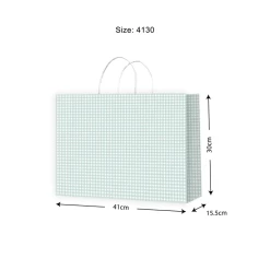 Gift Bag MED Gingham Seafoam 410x300x155mm