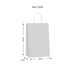 Gift Bag SML Candy Silver 250x350x110mm