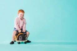 Small Bee Wheely Bug -Kids Toy Shop wheely bug small bee wheely bug 31989684666502