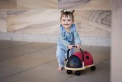 Small Ladybug Wheely Bug -Kids Toy Shop wheely bug small ladybug wheely bug 31989670674566